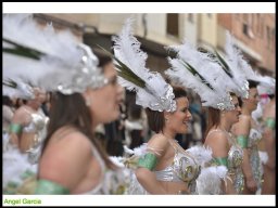 Carnaval de Mula 2014